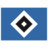 Hamburger SV Icon